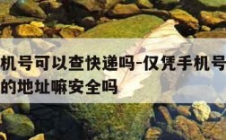 仅凭手机号可以查快递吗-仅凭手机号可以查快递吗的地址嘛安全吗