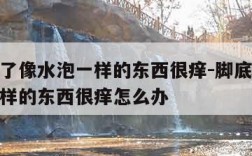 脚底长了像水泡一样的东西很痒-脚底长了像水泡一样的东西很痒怎么办