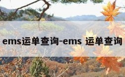 ems运单查询-ems 运单查询