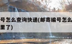 邮寄编号怎么查询快递(邮寄编号怎么查询快递到哪里了)