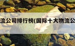 国际物流公司排行榜(国际十大物流公司排行榜)