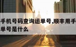 顺丰用手机号码查询运单号,顺丰用手机号码查询运单号是什么