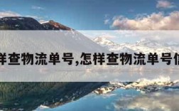 怎样查物流单号,怎样查物流单号信息