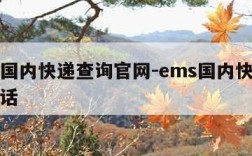 ems国内快递查询官网-ems国内快递查询电话