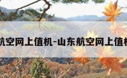 山东航空网上值机-山东航空网上值机官方