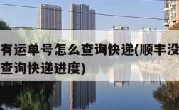 顺丰没有运单号怎么查询快递(顺丰没有运单号怎么查询快递进度)