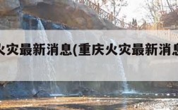 重庆火灾最新消息(重庆火灾最新消息26号)