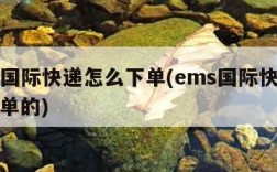 ems国际快递怎么下单(ems国际快递怎么下单的)