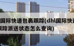 dhl国际快递包裹跟踪(dhl国际快递包裹跟踪派送状态怎么查询)