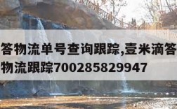 壹米滴答物流单号查询跟踪,壹米滴答物流单号查询物流跟踪700285829947