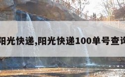 阳光快递,阳光快递100单号查询