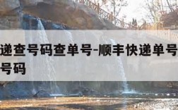 顺丰快递查号码查单号-顺丰快递单号查询跟踪电话号码