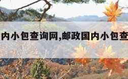 邮政国内小包查询网,邮政国内小包查询单号官网