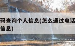 电话号码查询个人信息(怎么通过电话号码查询个人信息)