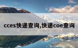 cces快递查询,快递coe查询