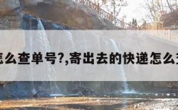 快递怎么查单号?,寄出去的快递怎么查单号