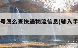 有运单号怎么查快递物流信息(输入手机号找订单)