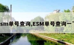 esm单号查询,ESM单号查询一下