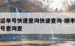 顺丰速运单号快速查询快递查询-顺丰速运查快递单号查询查