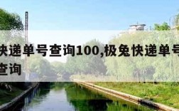 极兔快递单号查询100,极兔快递单号查询号码查询