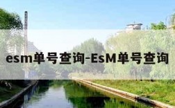 esm单号查询-EsM单号查询