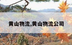 黄山物流,黄山物流公司