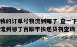 查一下我的订单号物流到哪了-查一下我的订单号物流到哪了百顺丰快递货物查询