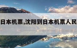 沈阳到日本机票,沈阳到日本机票人民币多少钱