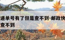 邮政快递单号有了但是查不到-邮政快递单号出来了查不到