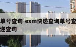 esm单号查询-esm快递查询单号查询追踪快递查询