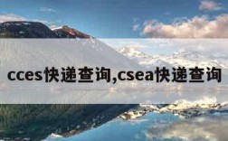 cces快递查询,csea快递查询