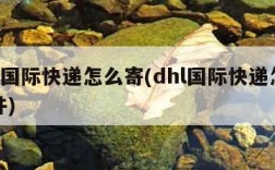 dhl国际快递怎么寄(dhl国际快递怎么寄件)