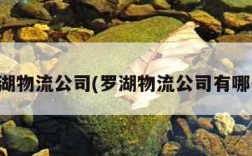 罗湖物流公司(罗湖物流公司有哪些)