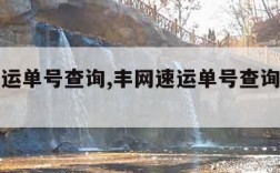 丰网速运单号查询,丰网速运单号查询号码查询官网