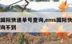 ems国际快递单号查询,ems国际快递单号查询不到