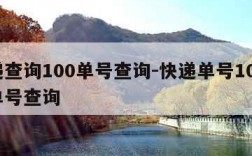 快递查询100单号查询-快递单号100查询单号查询