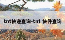 tnt快递查询-tnt 快件查询