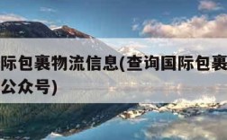 查询国际包裹物流信息(查询国际包裹物流信息微信公众号)