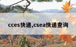 cces快递,csea快递查询