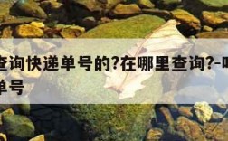 怎样查询快递单号的?在哪里查询?-咋查询快递单号