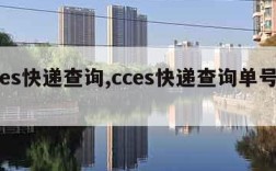 cces快递查询,cces快递查询单号查询