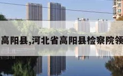 河北省高阳县,河北省高阳县检察院领导班子