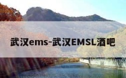 武汉ems-武汉EMSL酒吧