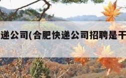 合肥快递公司(合肥快递公司招聘是干什么的啊)