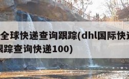 dhl全球快递查询跟踪(dhl国际快递查询跟踪查询快递100)