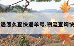 申通快递怎么查快递单号,物流查询快速查询