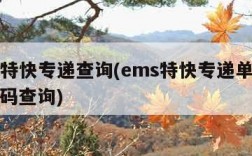 ems特快专递查询(ems特快专递单号查询号码查询)