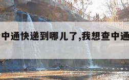 查一个中通快递到哪儿了,我想查中通快递到哪了