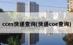 cces快递查询(快递coe查询)