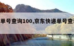 快递单号查询100,京东快递单号查询100